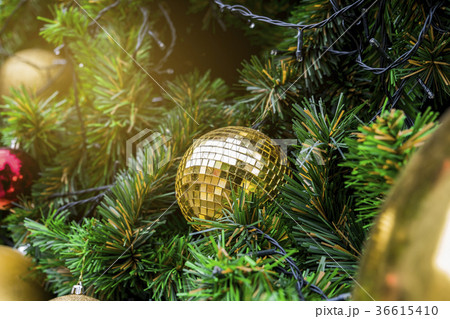 Christmas Tree Christmas Tree 36615410