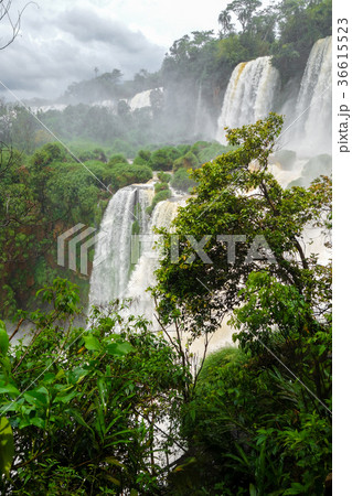 iguazu falls iguazu falls 36615523