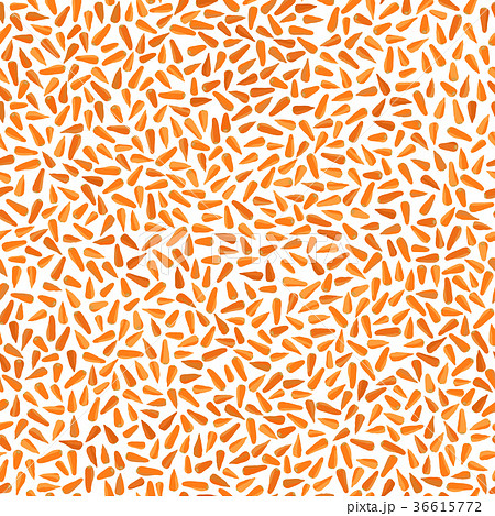 Orange carrot seamless pattern. Organic vegan food Orange carrot seamless pattern. Organic vegan food 36615772