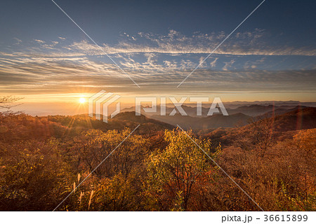 旧碓氷峠見晴台から望む妙義山方向の山並みと紅葉の樹林と朝日の写真素材