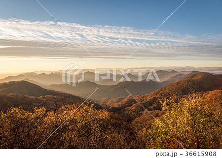 旧碓氷峠見晴台から望む妙義山方向の山並みと紅葉の樹林と朝日の写真素材