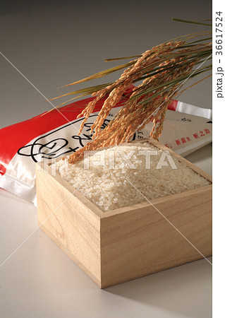 米.新之助 36617524