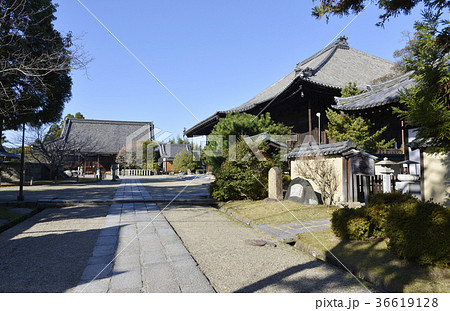 西大寺 36619128