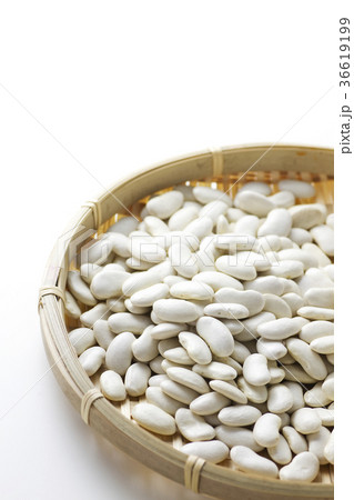 大福豆10 36619199