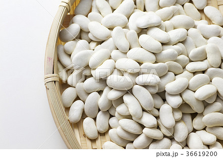 大福豆11 大福豆11 36619200