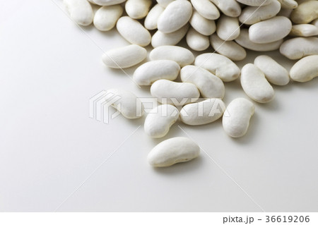 大福豆5 36619206