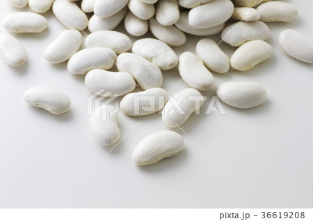 大福豆7 大福豆7 36619208