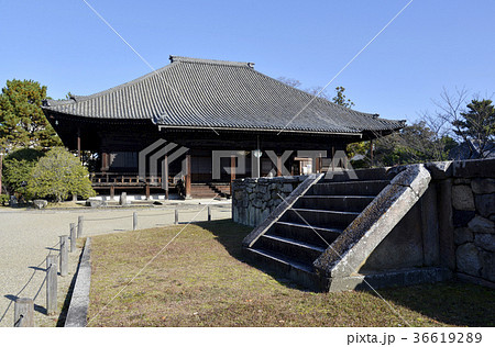 西大寺 西大寺 36619289
