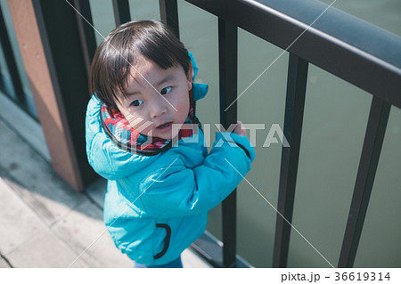 2 years old 2 years old 36619314