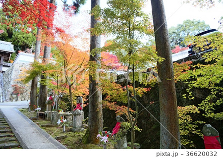 廣福寺の紅葉 廣福寺の紅葉 36620032