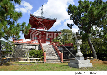 大沢池　心経宝塔 36620892