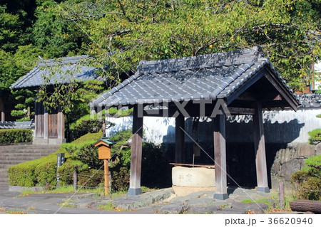 安井の井戸 36620940