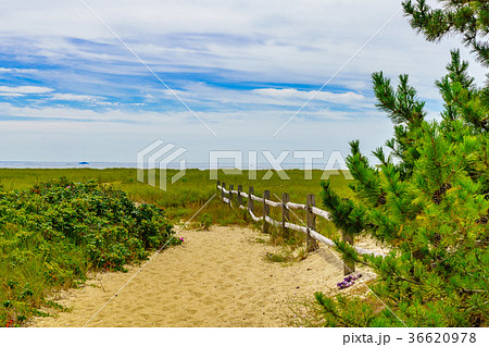 Empty pathway with fence to the beach on a clear 36620978