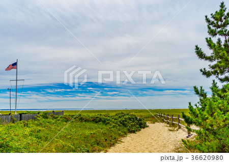 Empty pathway with fence to the beach on a clear 36620980