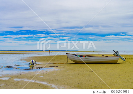Boats in the Provincetown Coast at low tide MA 36620995