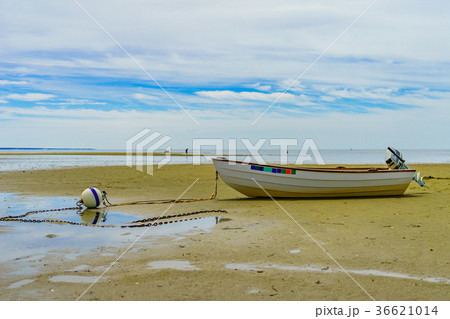 Boats in the Provincetown Coast at low tide MA 36621014
