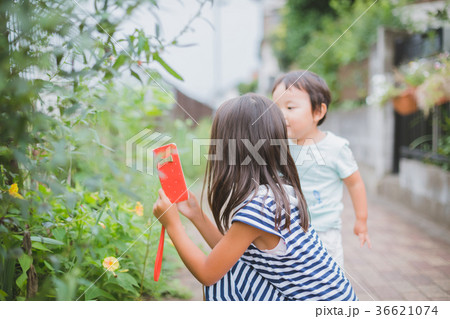 2 years old　&　8 years old 36621074