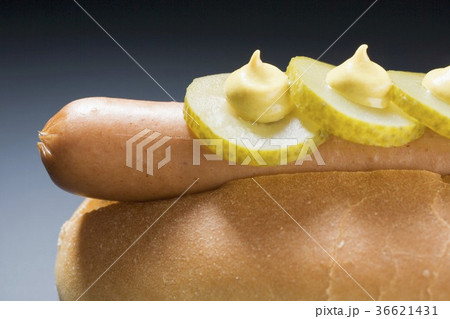 36621431