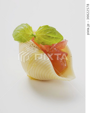 36622578