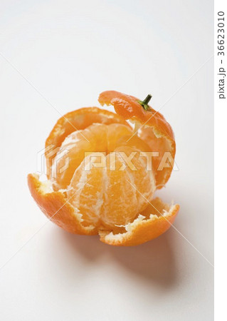 36623010