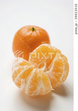 36623016