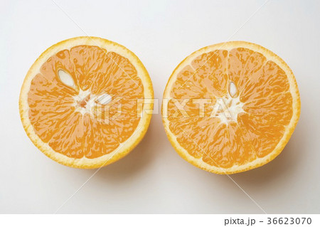 36623070