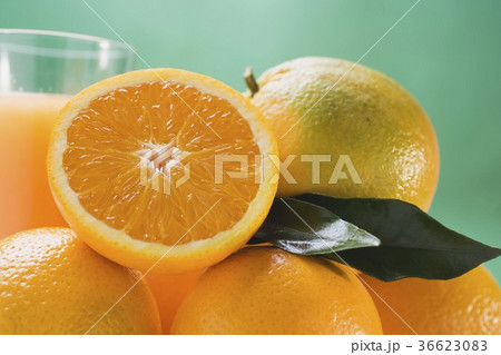 36623083