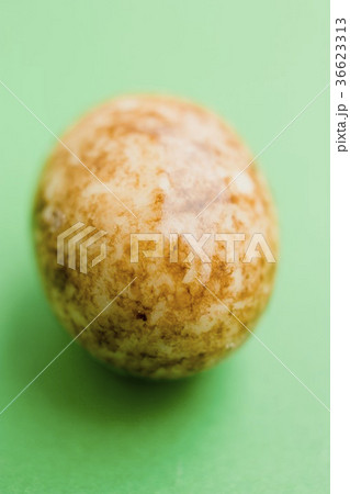 36623313