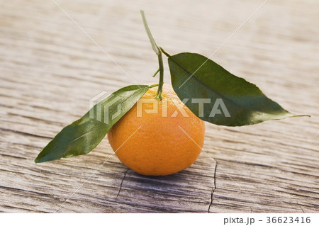 36623416