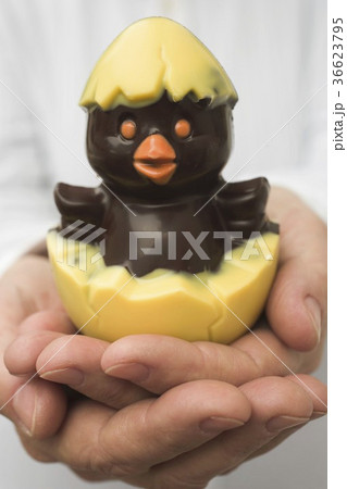 36623795