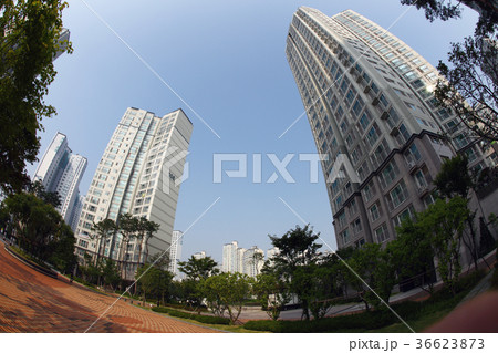 アパート マンション 京畿道 36623873