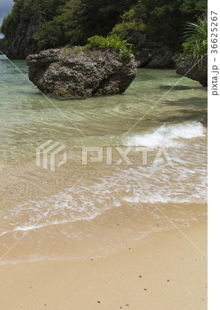 サビチ洞の先のビーチ(石垣島) サビチ洞の先のビーチ(石垣島) 36625267