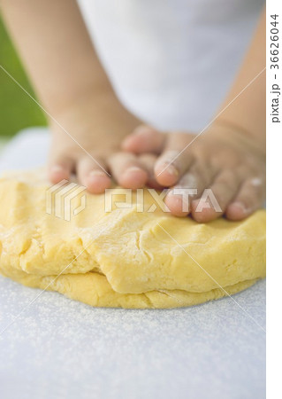 36626044