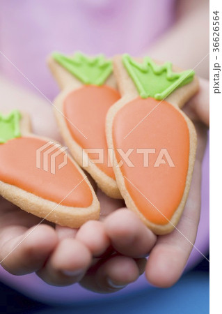 36626564