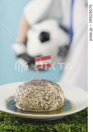 36629076