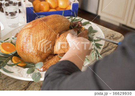 36629930