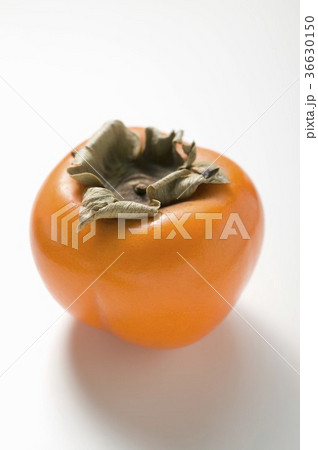 36630150