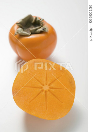 36630156