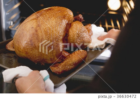 36630472