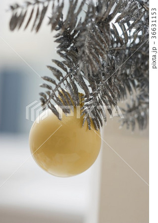 36631153
