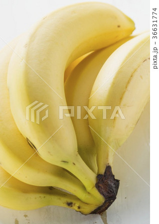 36631774