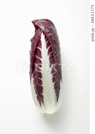 36631775