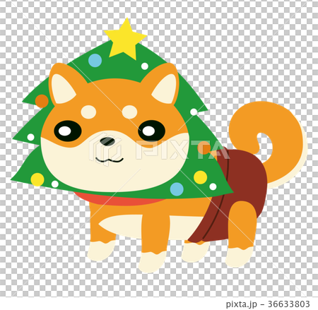 Christmas Tree Shiba Inu 36633803