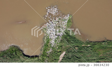 空撮　2017年9月9日撮影_九州北部豪雨後の濁った筑後川 36634230