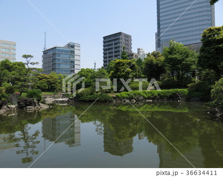 新緑が美しい春の旧安田庭園 新緑が美しい春の旧安田庭園 36634411