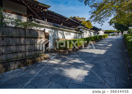 愛知　岡崎公園　能楽堂横の坂道　岡崎城二の丸能楽堂 36634456