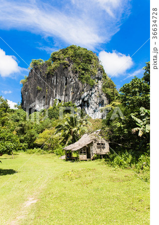 bamboo house near the entrance to ille cave with 36634728
