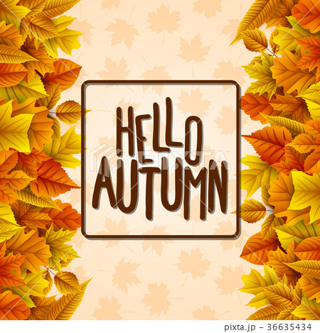 Hello autumn with colorful leaves 36635434