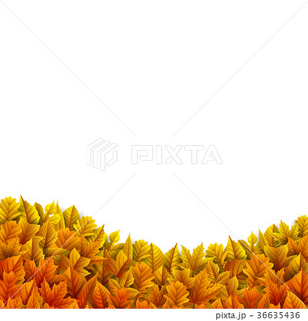 Autumn leaves isolated on white background Autumn leaves isolated on white background 36635436