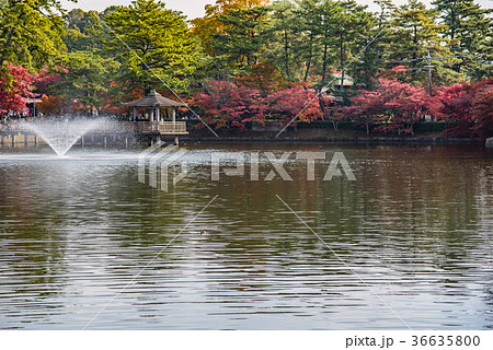 愛知　岡崎東公園の紅葉　あしのべ池と浮御堂　噴水 36635800